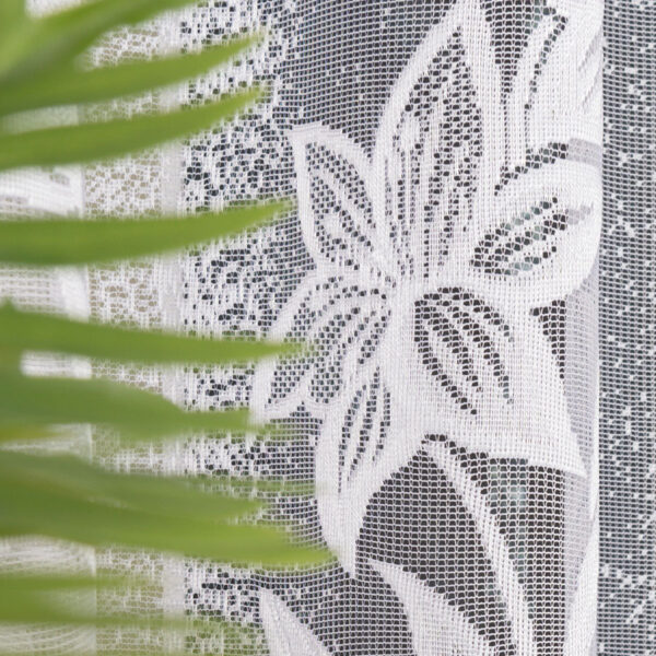 018893_000_001_000150_1_4 018893_000_001_000150_1_4