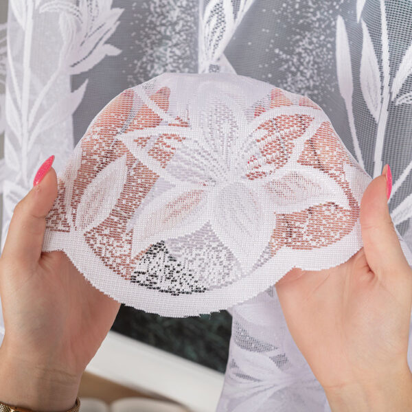 018893_000_001_000150_1_6 018893_000_001_000150_1_6