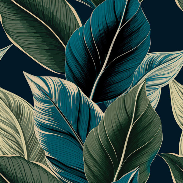 D00243_BLC_002_145000_1_1 D00243_BLC_002_145000_1_1