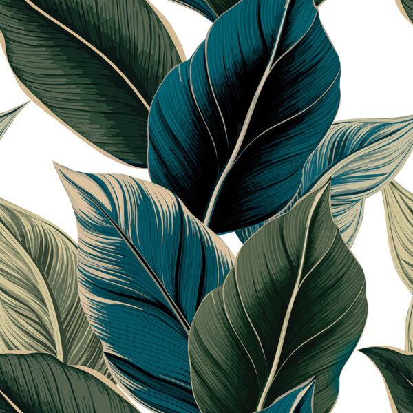 D00243_BLC_001_145000_1_1 D00243_BLC_001_145000_1_1