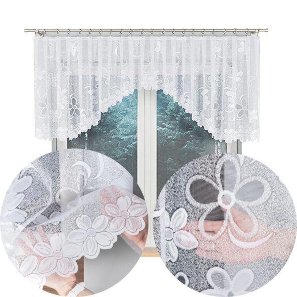 049885_FOL_001_000081_1_4 049885_FOL_001_000081_1_4