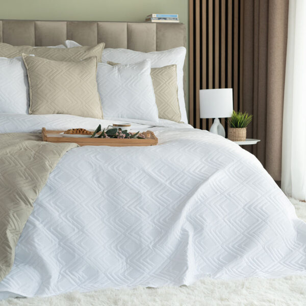 AVILA0_NAP_011_170210_1_1 AVILA0_NAP_011_170210_1_1