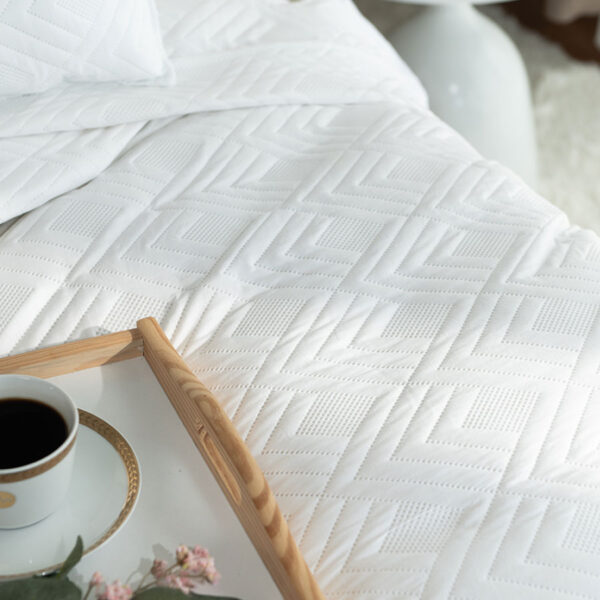 AVILA0_NAP_011_200220_1_3 AVILA0_NAP_011_200220_1_3