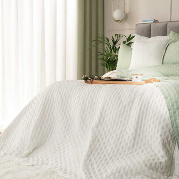 NULES0_NAP_011_220240_1_1 NULES0_NAP_011_220240_1_1