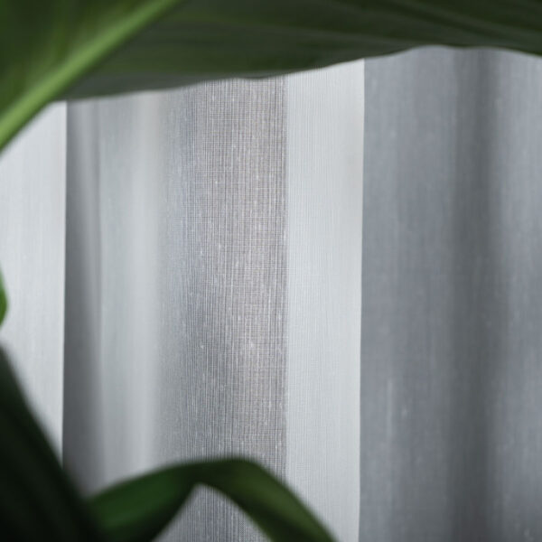 GAJANA_OLO_001_000300_1_3 GAJANA_OLO_001_000300_1_3